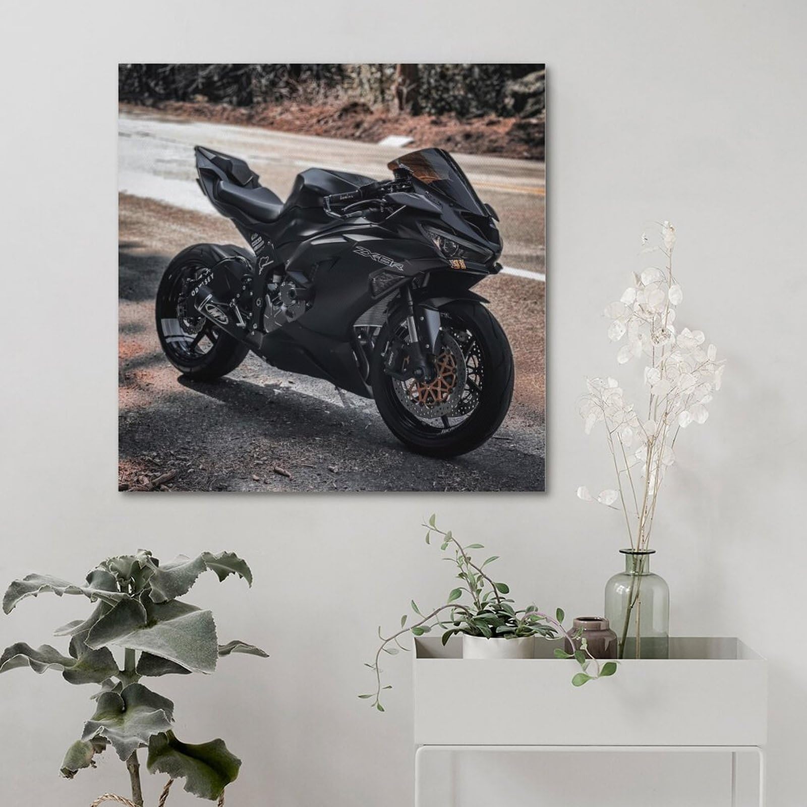HAYME Motorbike Poster for Kawasaki Ninja ZX-6R Super Bike
